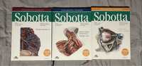 Atlas anatomii człowieka Sobotta III tomy