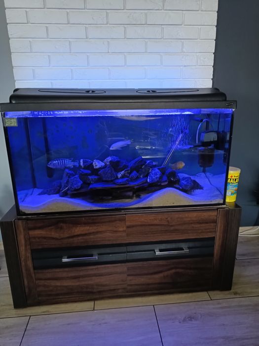 Akwarium 200 litrów