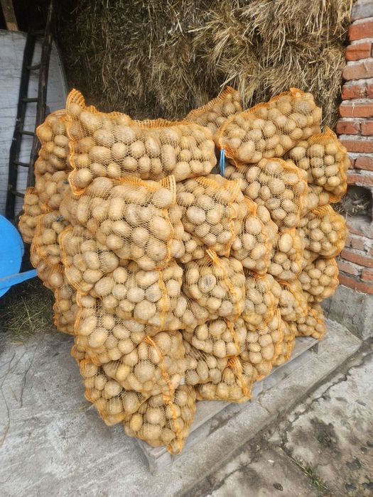 Sprzedam ziemniaki jadalne posiadam różne odmiany