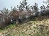 Terreno  para venda