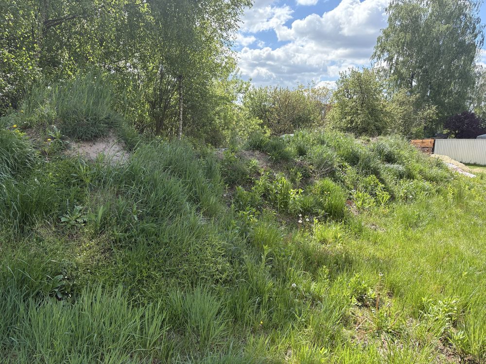Oddam ziemie z fundamentu