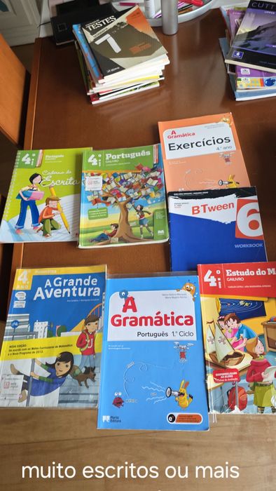 Manuais e livros de atividades do 7o, 6o, 5o e 4o ano