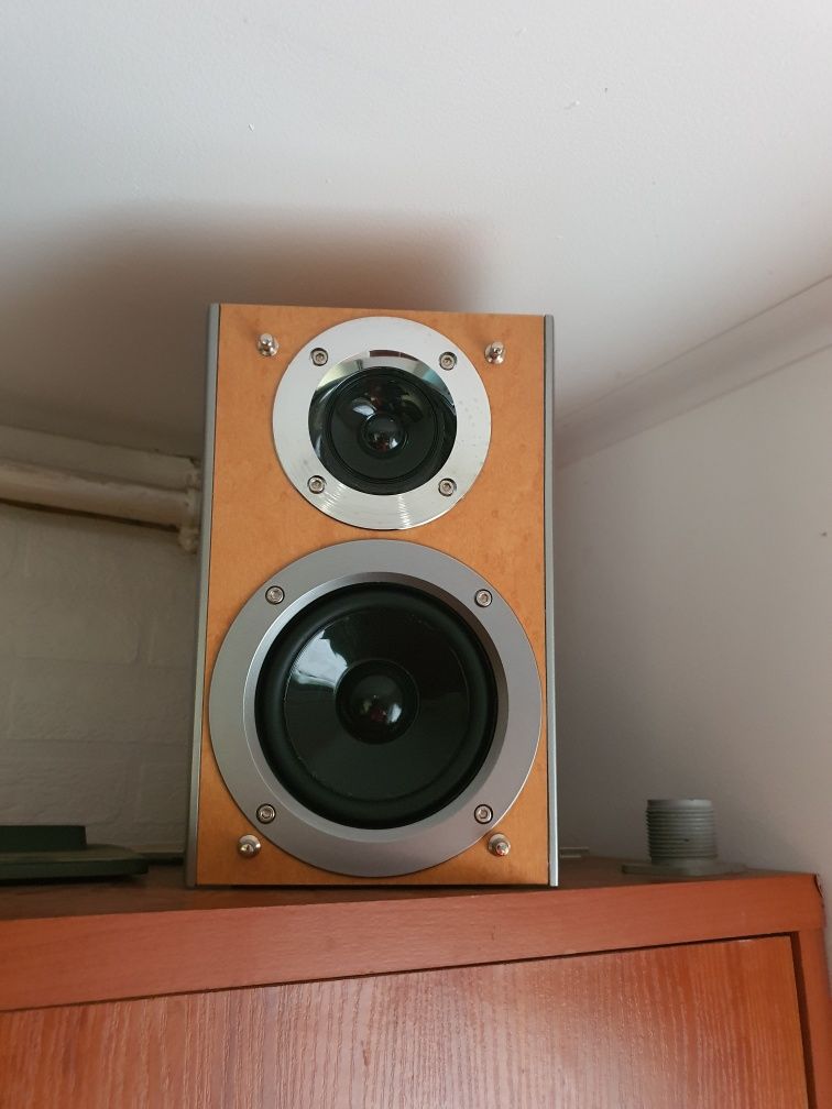 Monitory pioneer