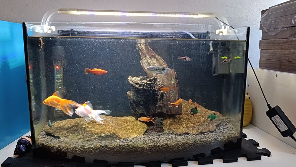 Akwarium 50ltr Komplet grzałka filtr podłoże kamienie rybki