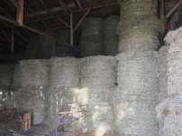 Sprzedam siano belki baloty 120x120 pierwszy pokos 2025