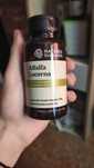 Alfalfa Lucerna suplement diety Nature’s Sunshine