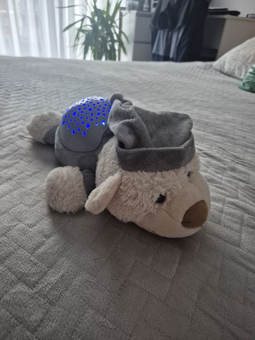 Projektor smiki miś