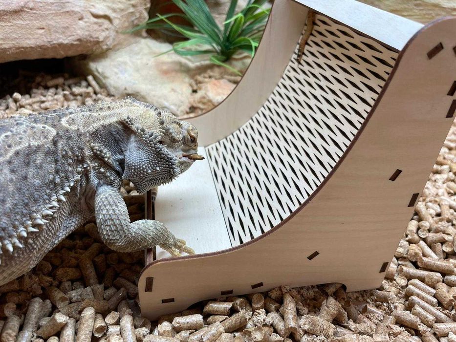 Karmidło karmidełko dla jaszczurka gekon agama żywy pokarm