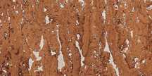 Fiord White Boazeria korkowa PROMOCJA paczka 1,98 m2 gr. 3mm 60x30 cm