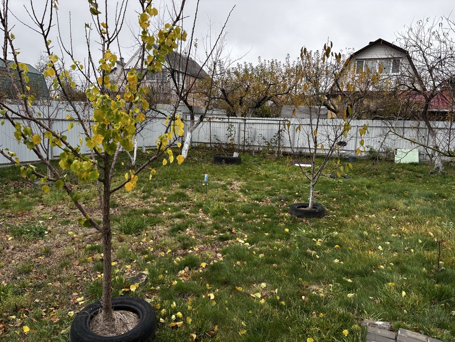 Будинок 2 км від Білоі Церкви вул Гайок з гарною дорогою