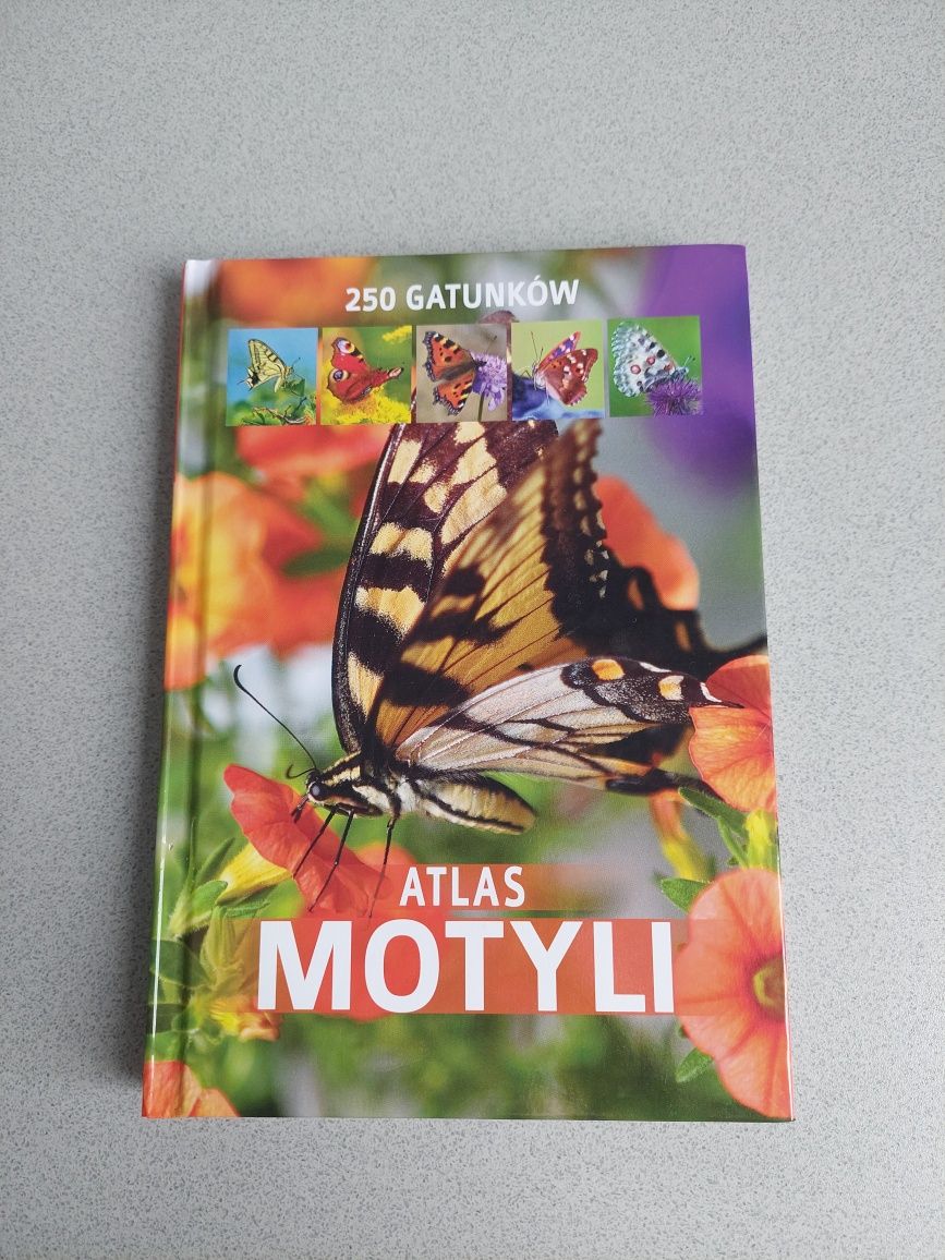 Atlas motyli ksiazka