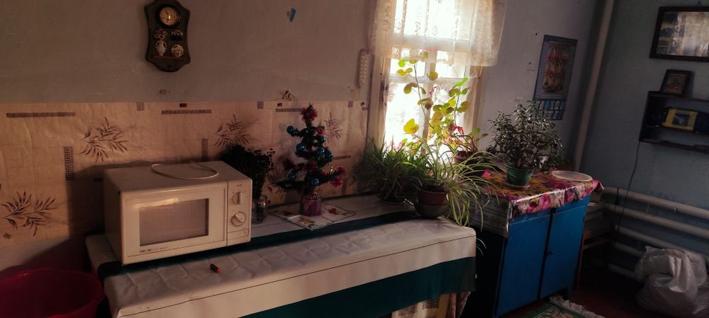 Аренда дома Солоницевка