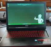 MSI gl73 8rc  laptop.