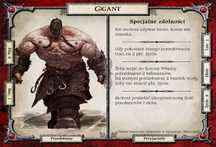 90 Kart poszukiwaczy Talisman (Magia i miecz)