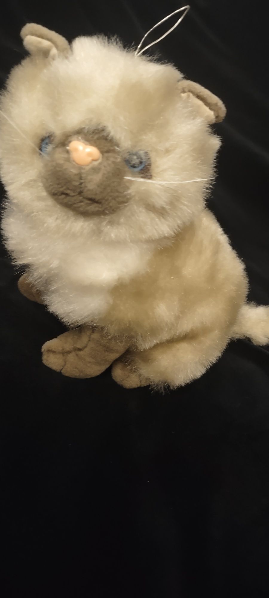 Przytulasek Kot syjamski  z niebieskimi oczami interakt.gratis wysyłka