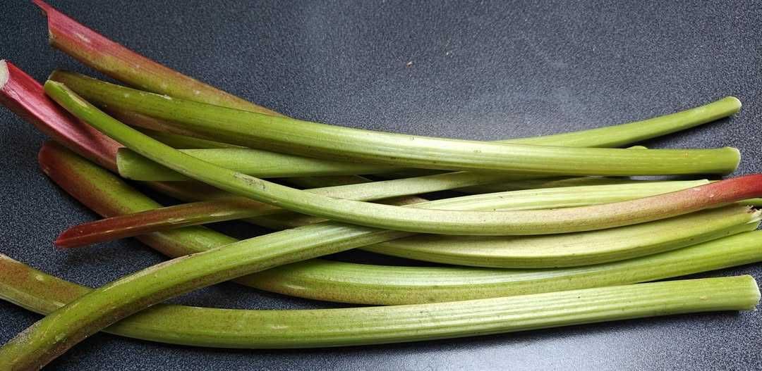 Rabarbar świeży sprzedam.