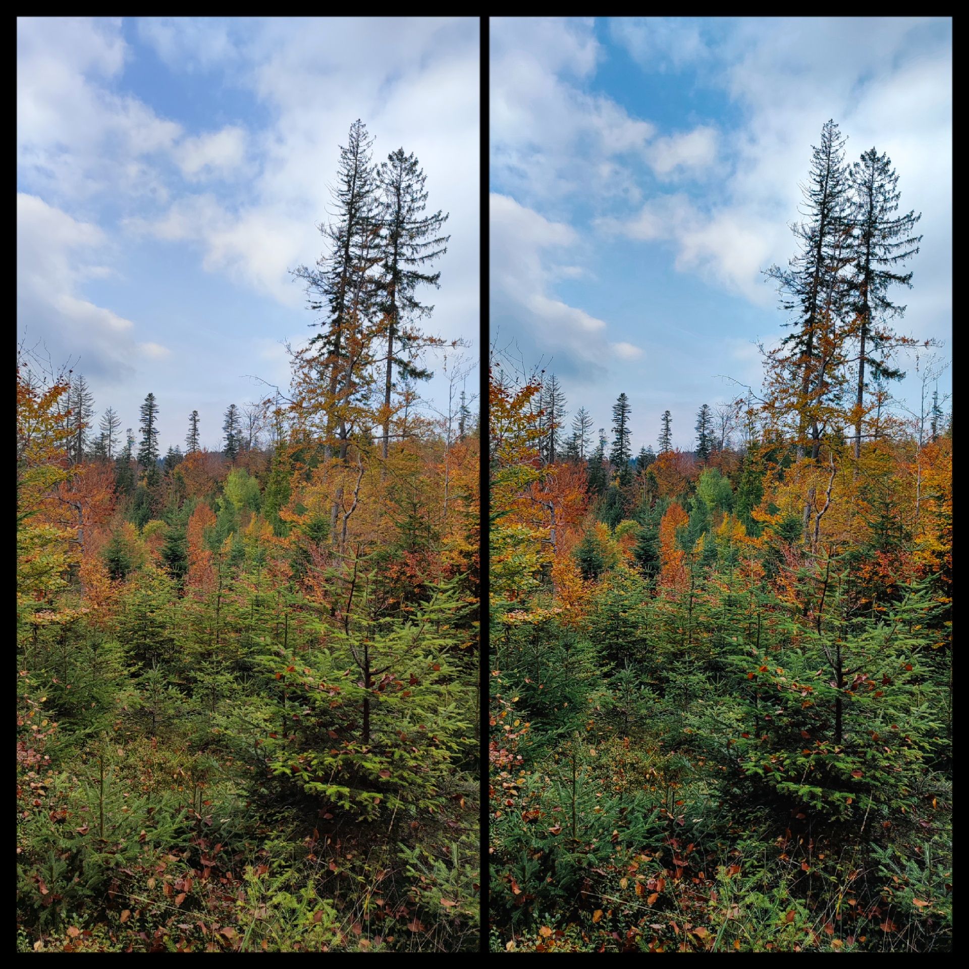 Lightroom Preset - Autumn z instrukcją instalacji na telefon