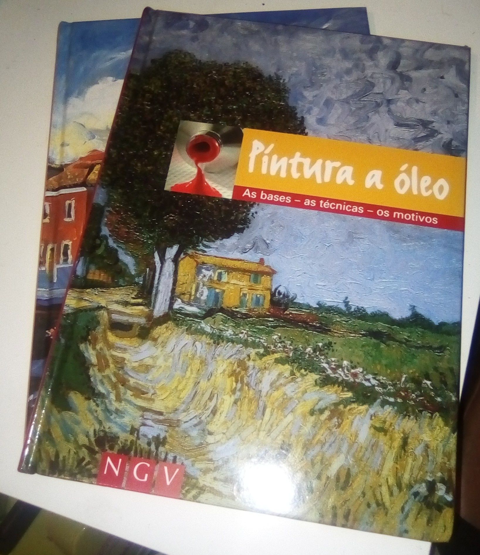 Livros pintura a óleo e a acrílico