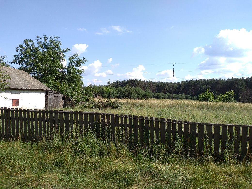 Дом хата дача село Пакуль озеро лес