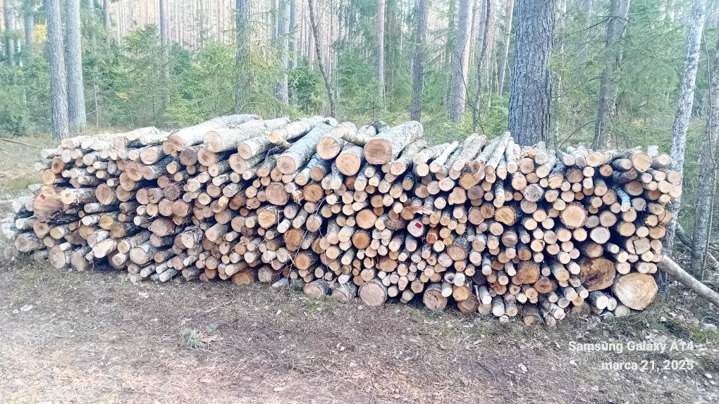 Sprzedam drzewo na opal