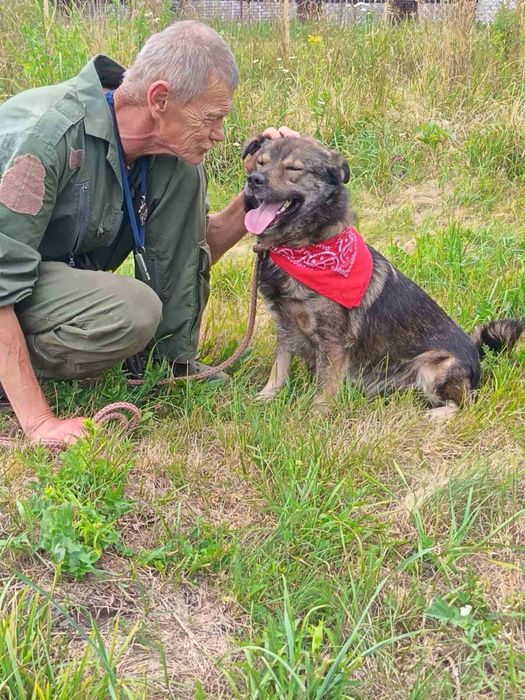 Віддам в добрі руки