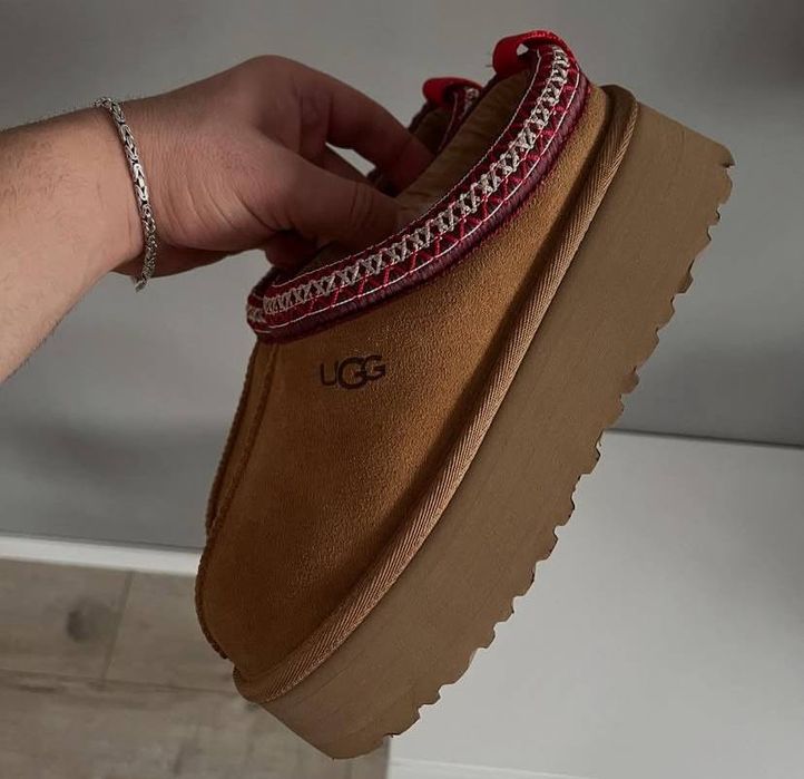 Уггі тазз зимові черевики, Ugg Tazz, жіночі чоботи Уггі