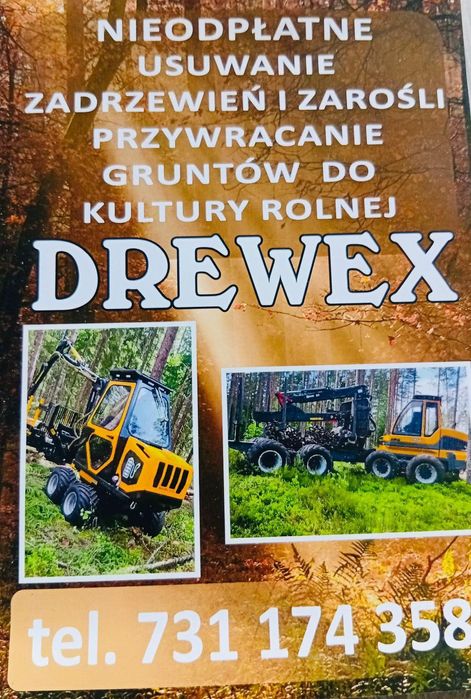 Nieodpłatne usuwanie zadrzewień i zarośli przywracanie gruntów do kult