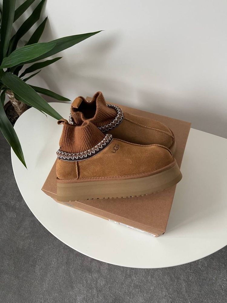 Трендові зимові угі Ugg Tasman Platform Sock Beige угі тасман