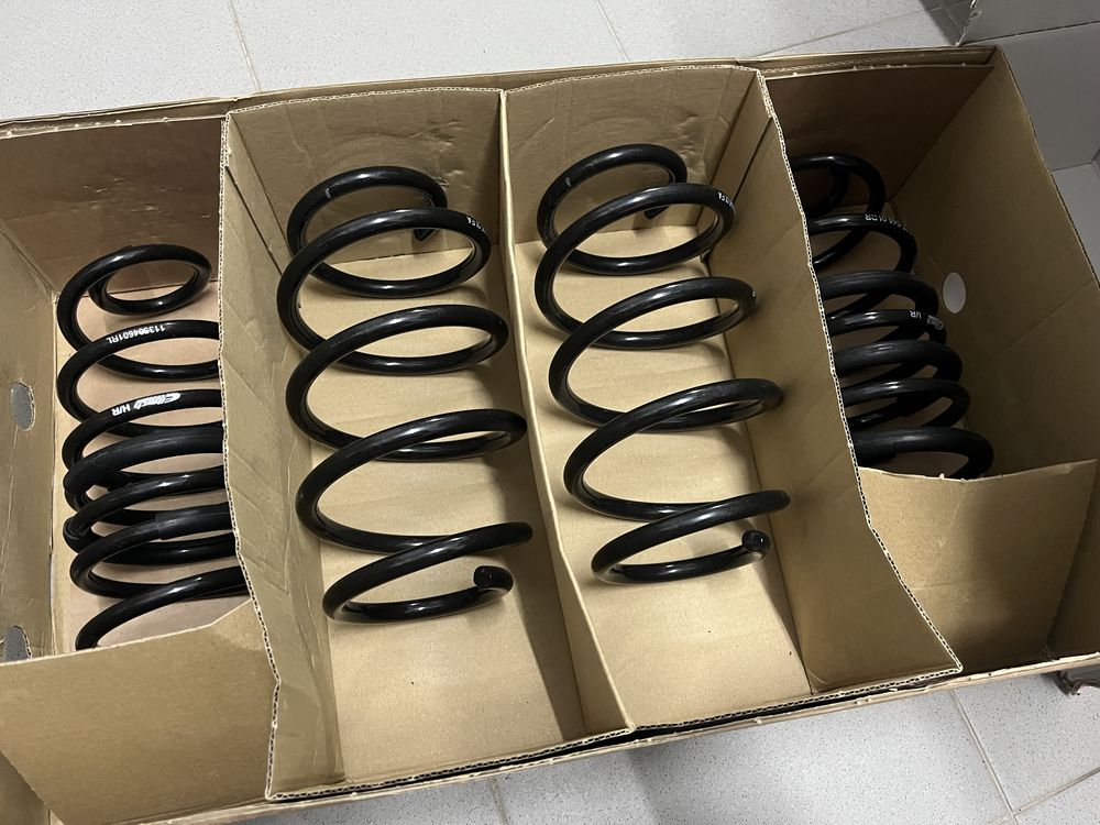 Molas Eibach pro kit Fiesta. St Mk8