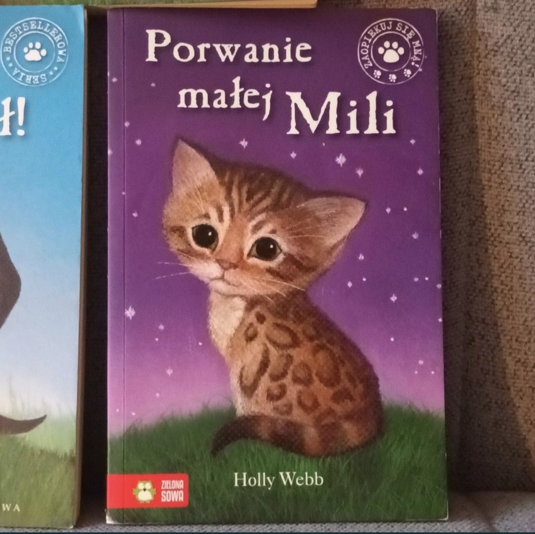 Zestaw książek dla dzieci Holly Webb