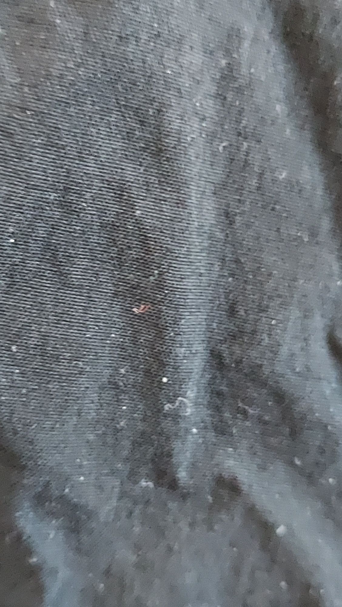 Spodnie dres Nike SB rozm. S czarne