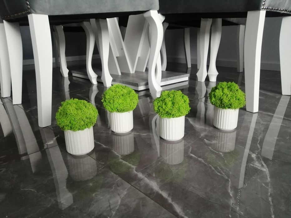 Doniczki 3  z mchem chrobotkiem