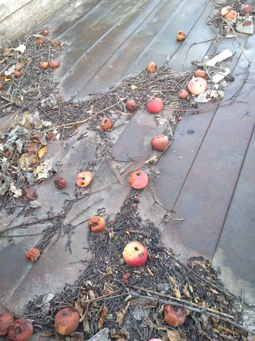 2птс4 в робочому стані