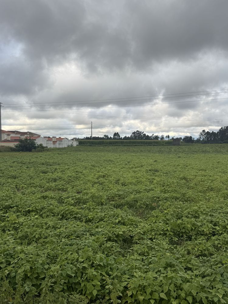 Terreno urbano 2190 m2