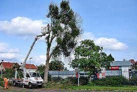 Wynajem Podnośnika Stryków  Brzeziny Głowno Łódź Podnośnik koszowy