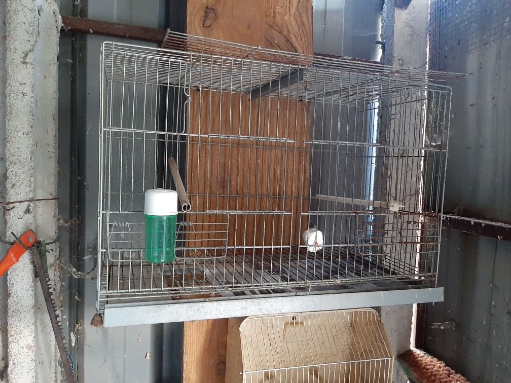 Viveiros para aves