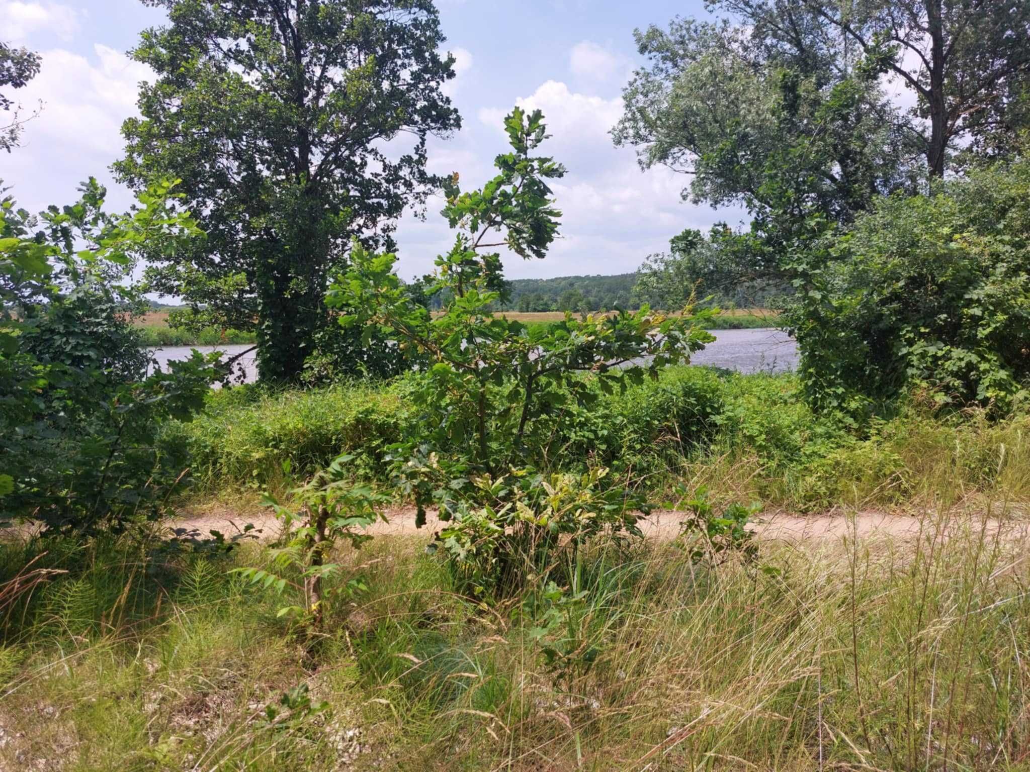 działka rekreacyjna z domkiem letniskowym nad rzeką