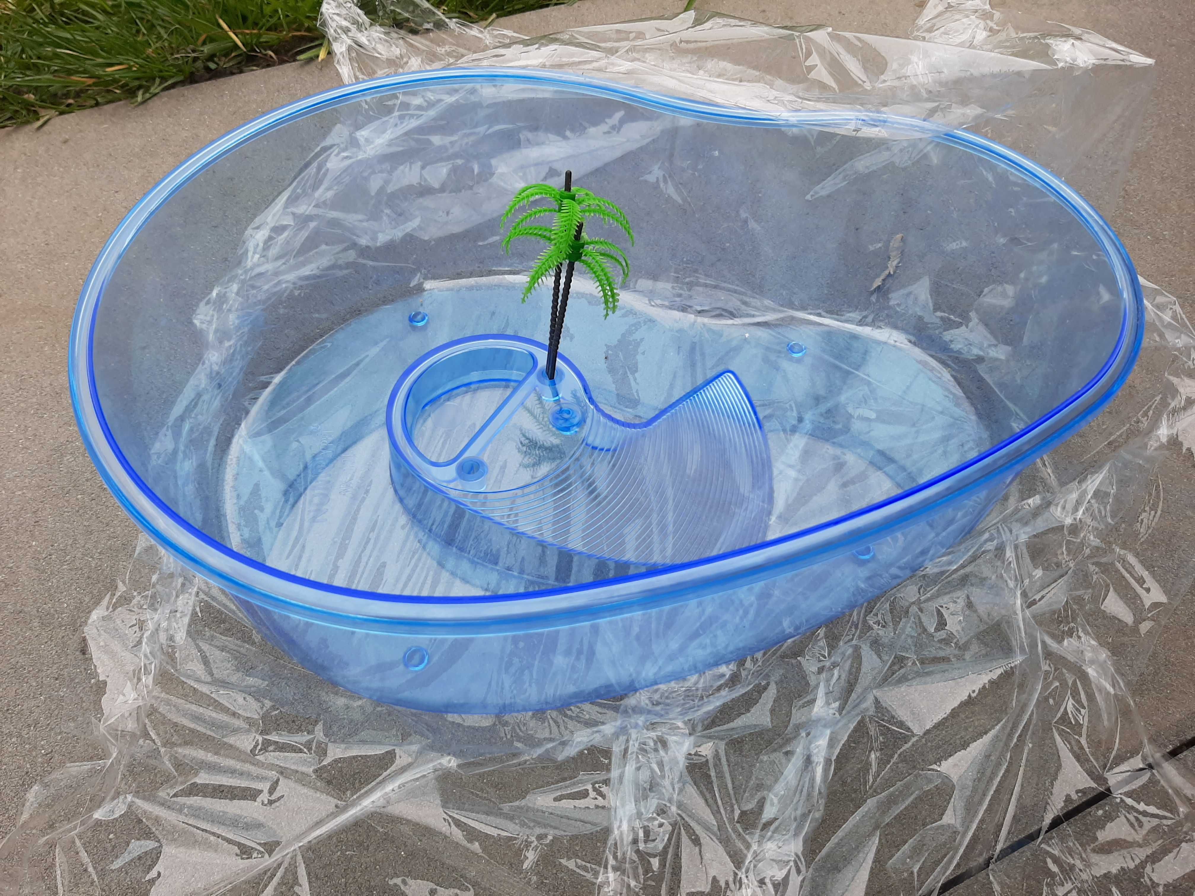 żółw hieroglifowy + terrarium