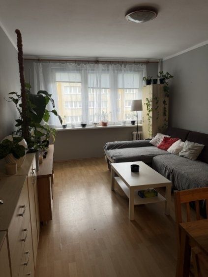 Mieszkanie na wynajem Pomorzany, 2 pokoje