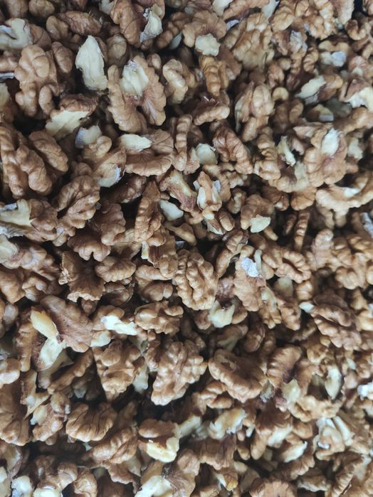 Волоський грецькій горіх  метелик