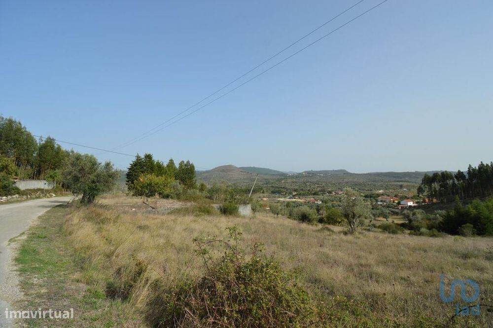 Terreno em Alvorge de 3365,00 m2