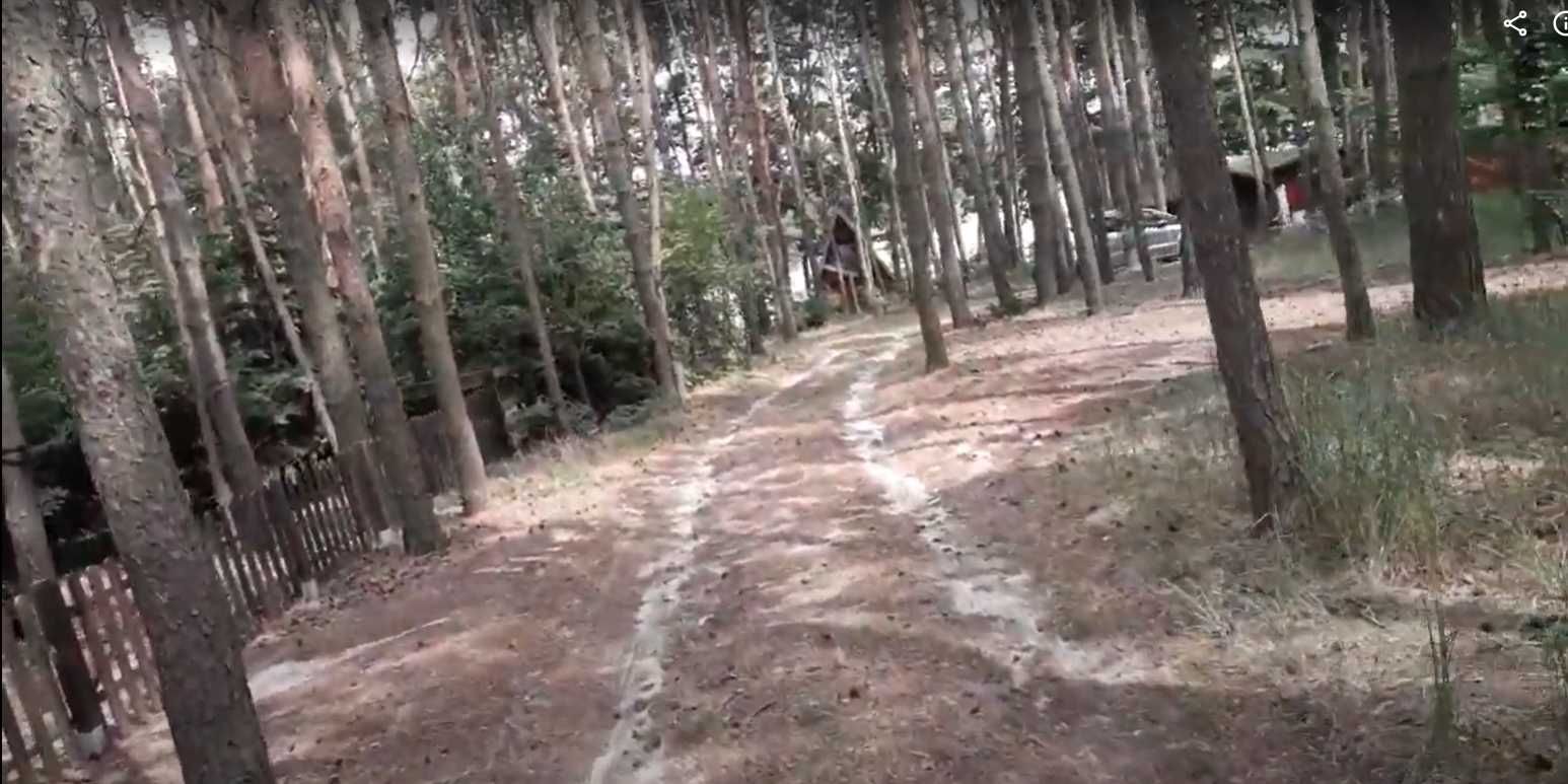Domek letniskowy k. Zaniemyśla