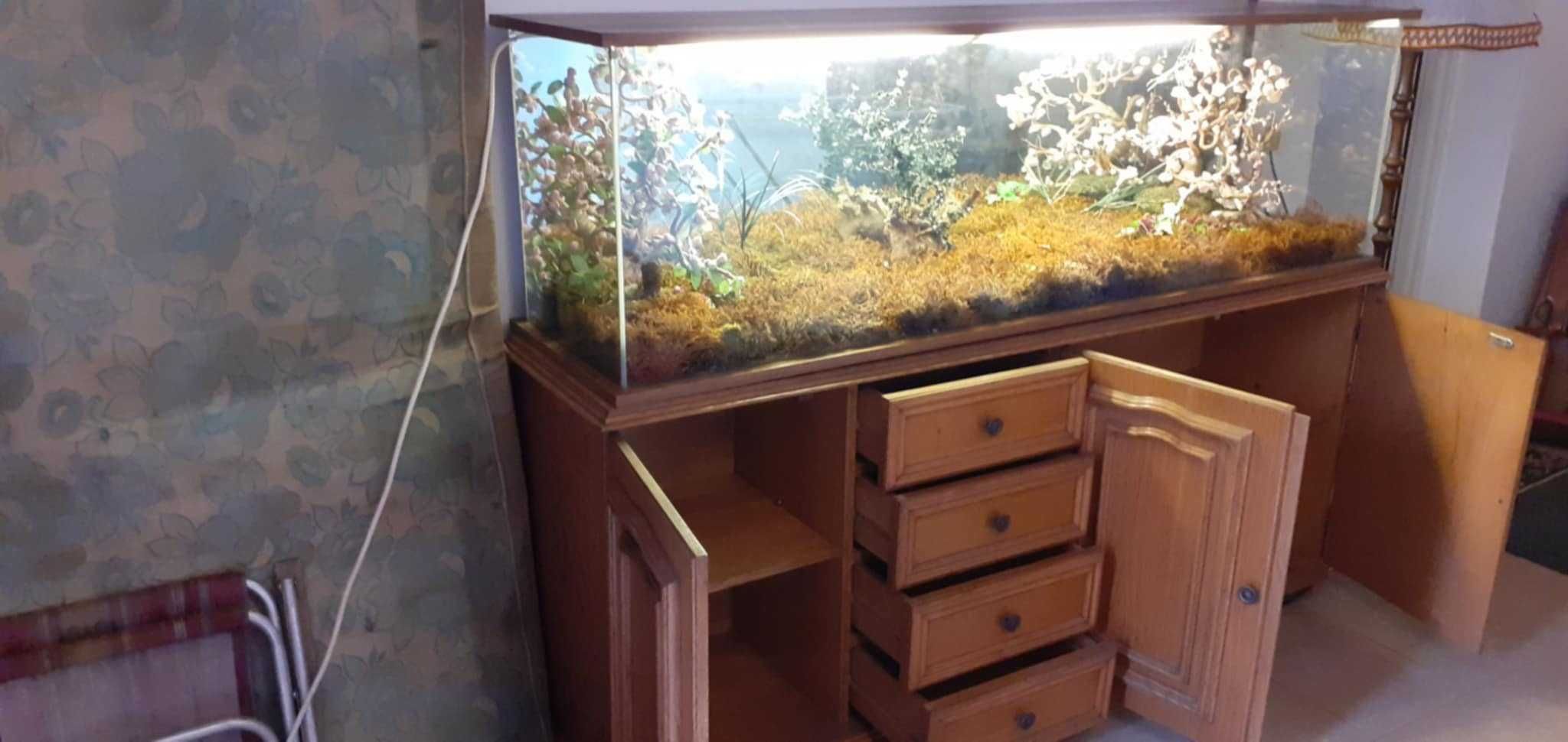 Dębowa komoda z terrarium