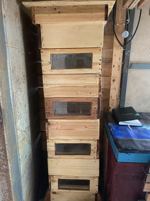 Різні утеплені вулики дадани, українці, бджоли