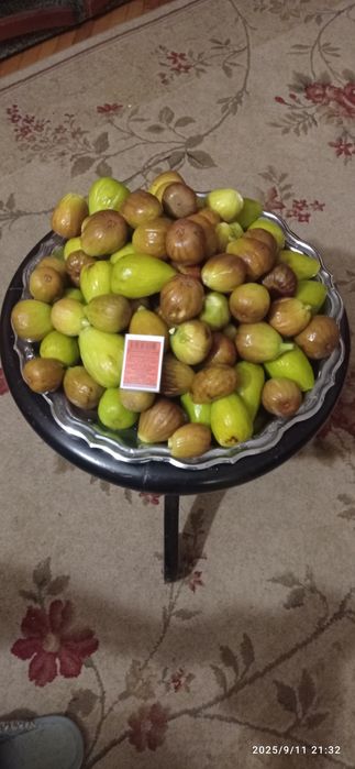 Черенки инжира. Живці інжиру.