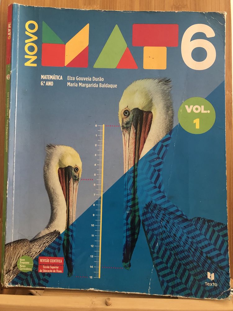 Novo MAT 6 vol.1 Matemática