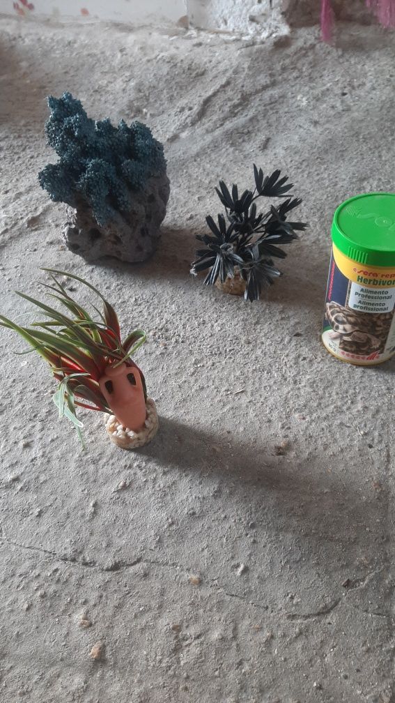 Acessórios aquário