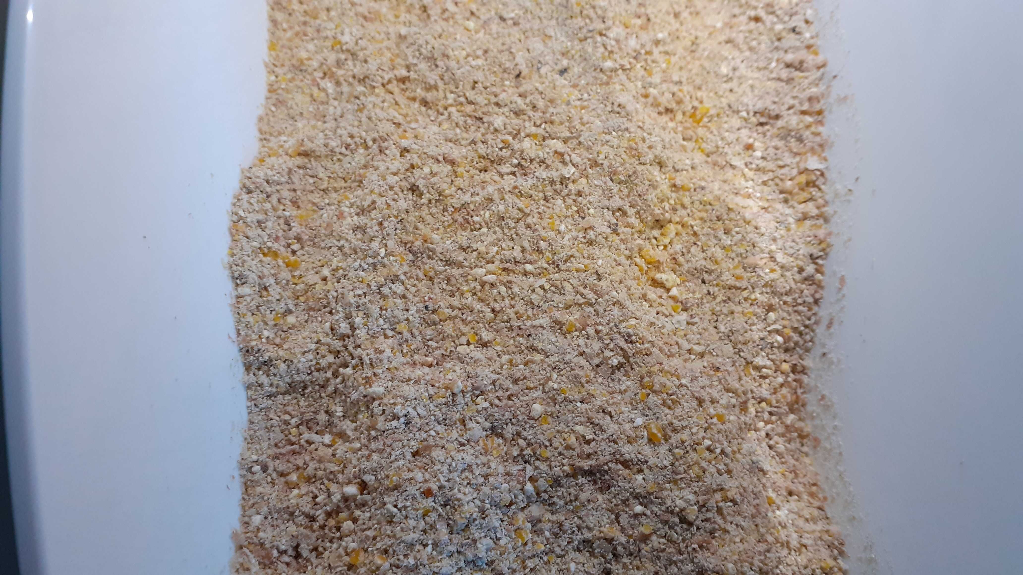 Kukurydza ziarno kiszone gniecione Corn Energy - cena brutto z dostawa