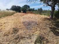 Terreno  para venda