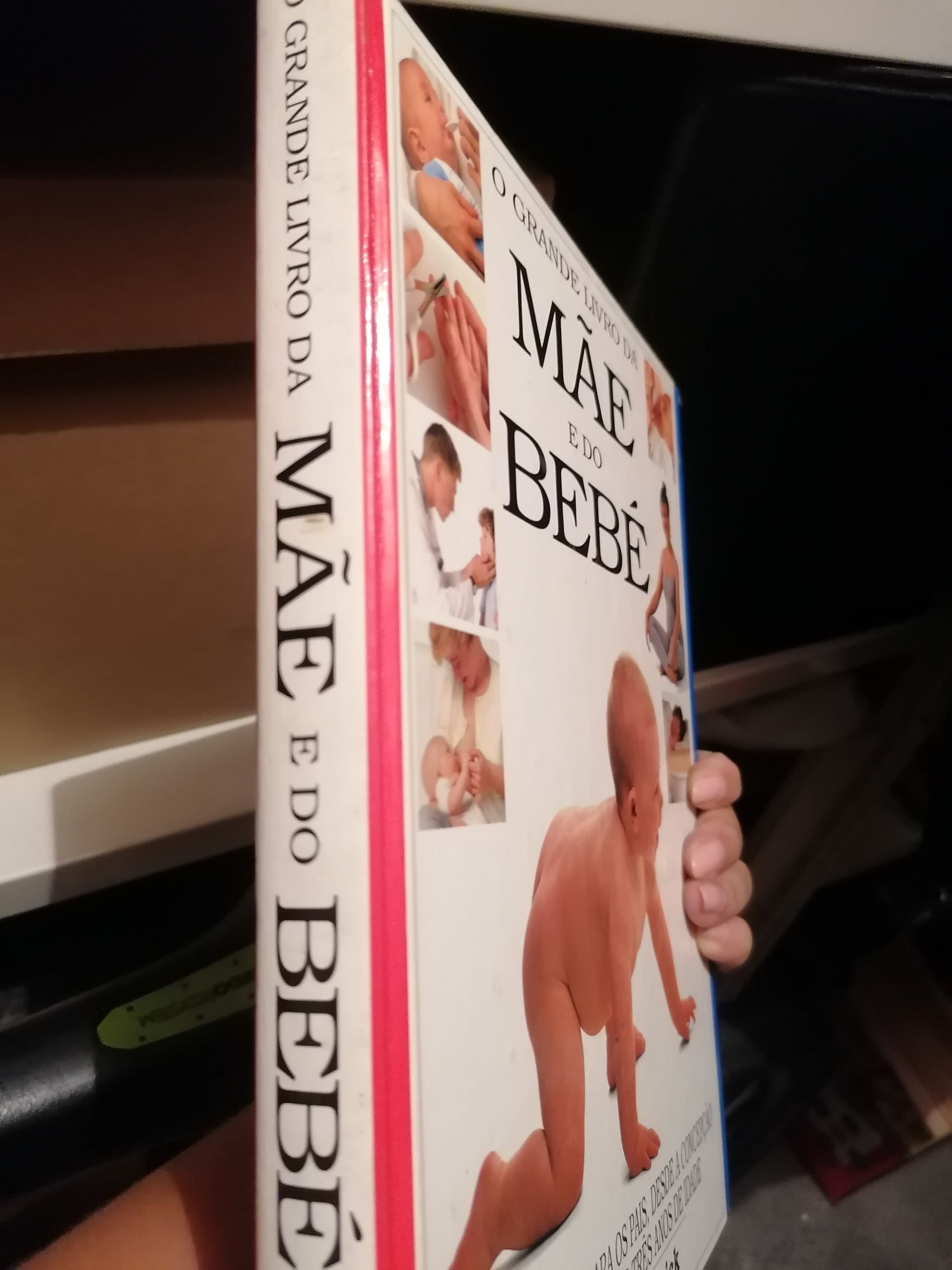 O Grande Livro da Mãe e do Bebé